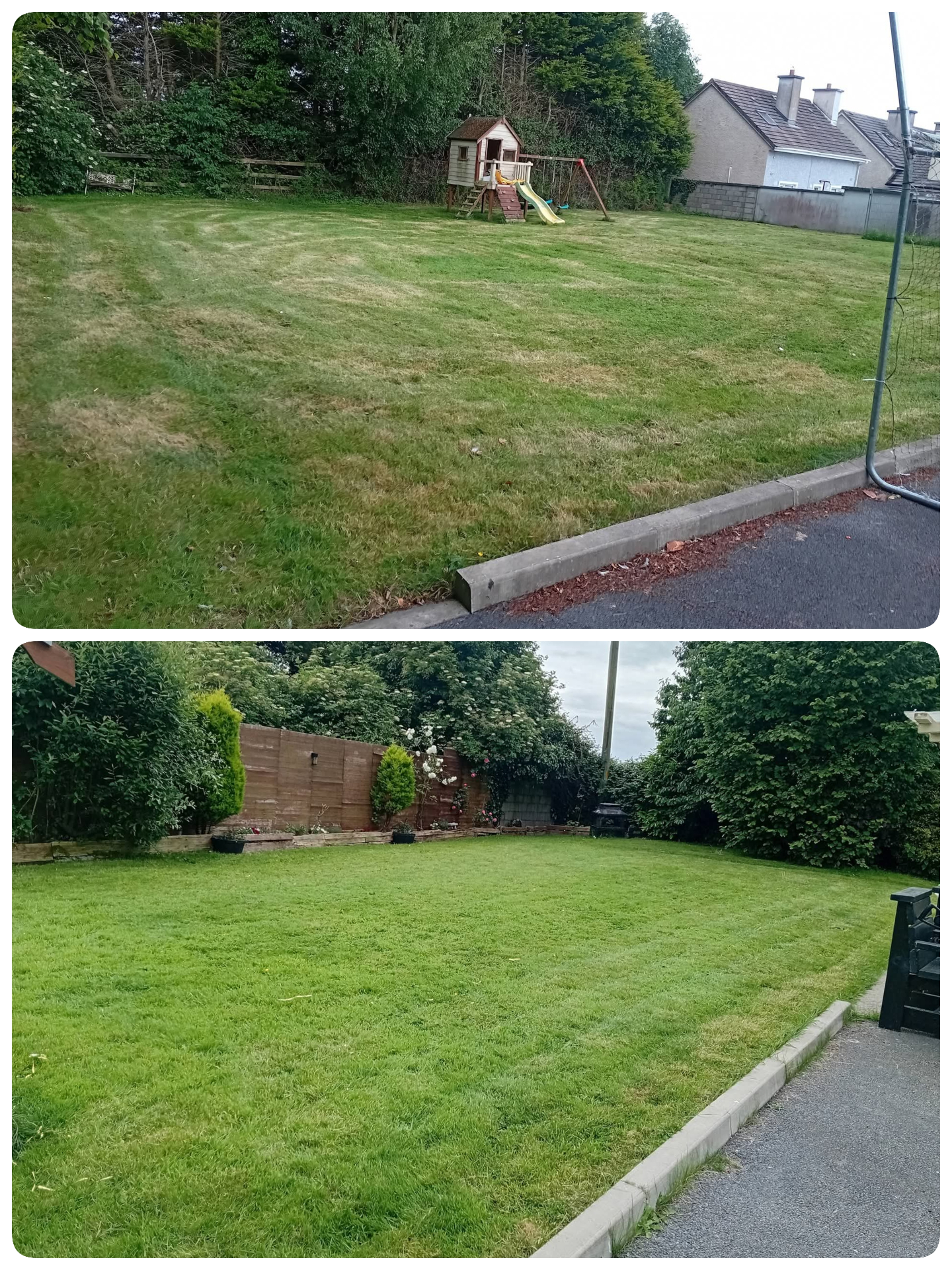 Garden & lawn tidy-up — Overgrown ground cleared and the lawn brought back to neat condition.